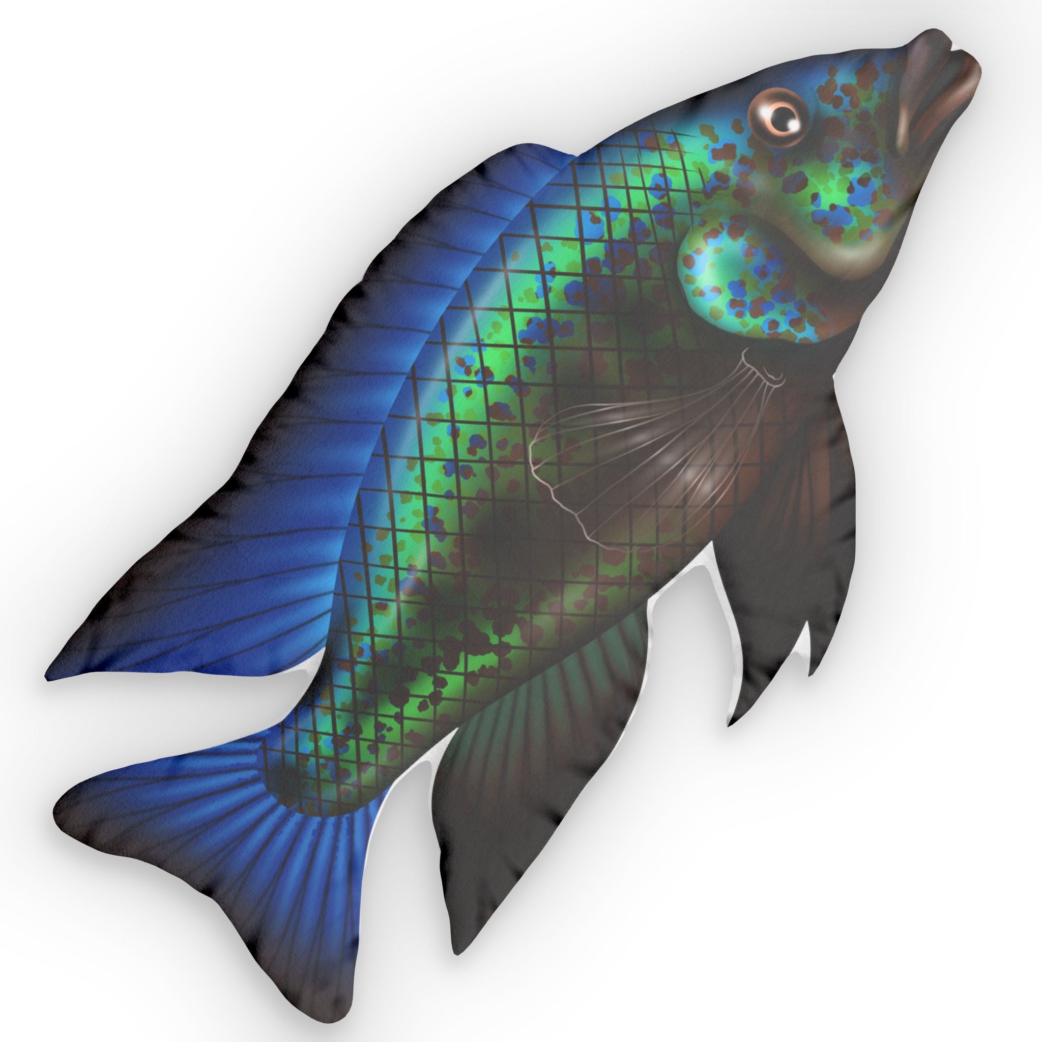 Sand Diver Cichlid Pillow