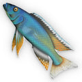 Malawi Trout Pillow