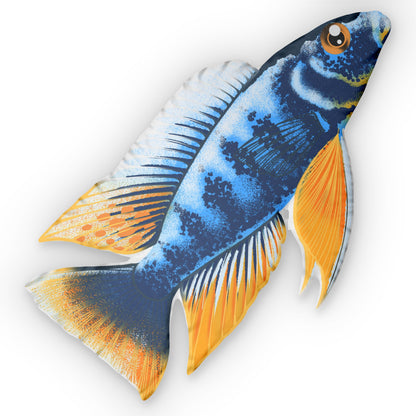 Iceberg Fryeri Cichlid Pillow