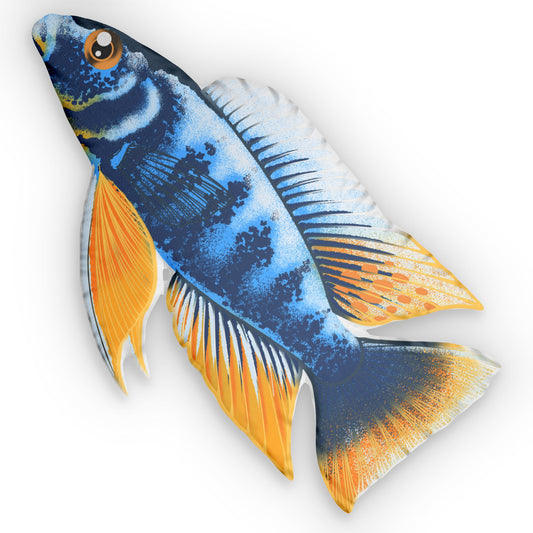 Iceberg Fryeri Cichlid Pillow